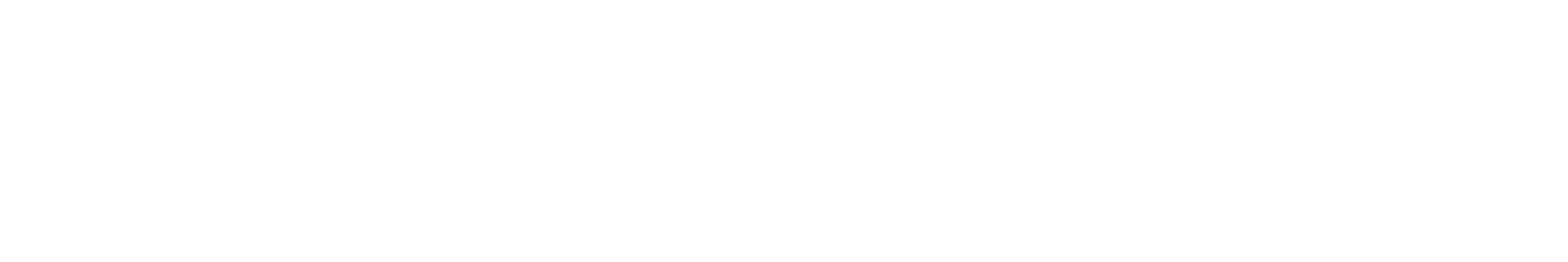 logo cybercare horizontal blanc